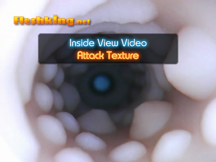 Attack Fleshlight Inside View Video