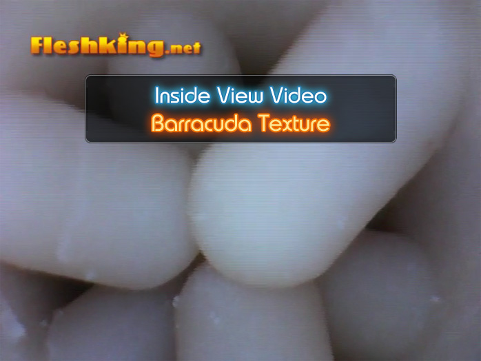 Barracuda Fleshlight Inside View Video
