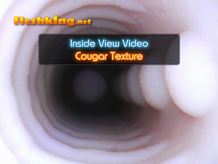 Cougar Fleshlight Inside View Video