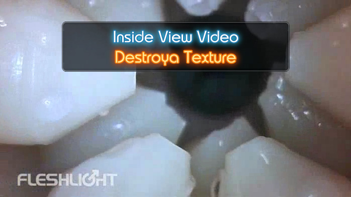 Destroya Fleshlight Inside View Video