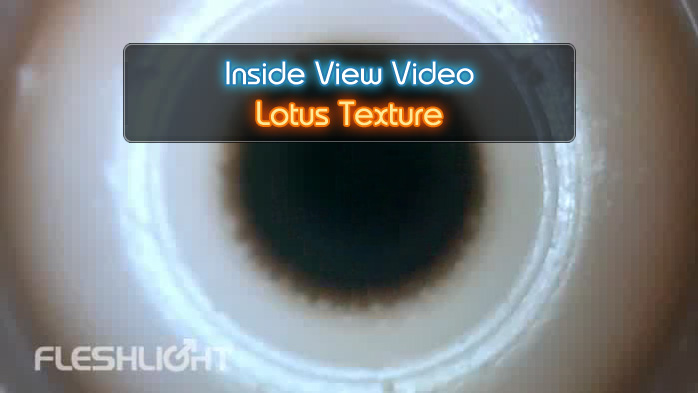 Lotus Fleshlight Inside View Video
