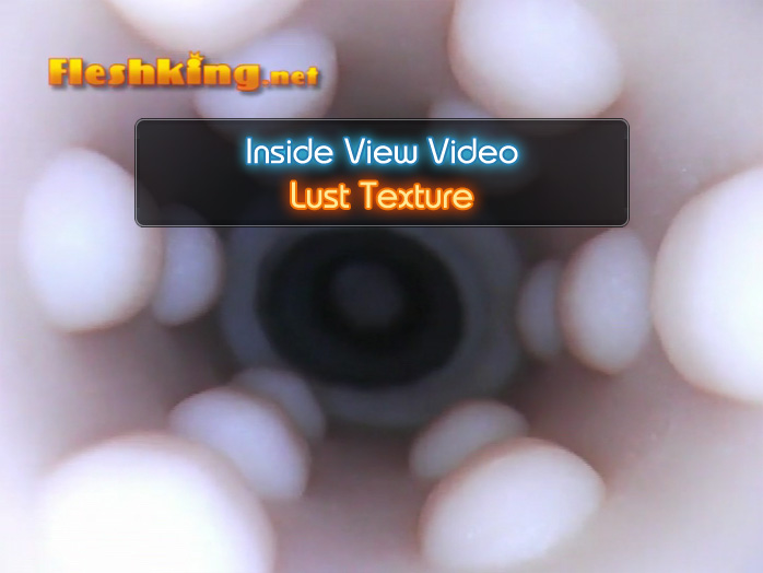 Lust Fleshlight Inside View Video