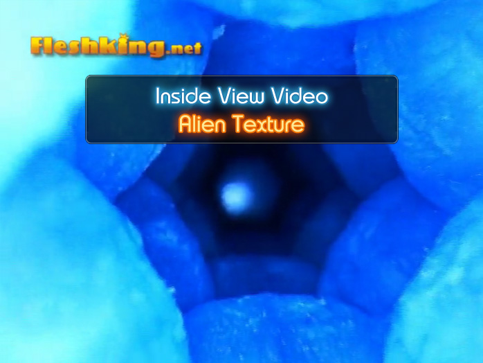 Alien Fleshlight Inside View Video