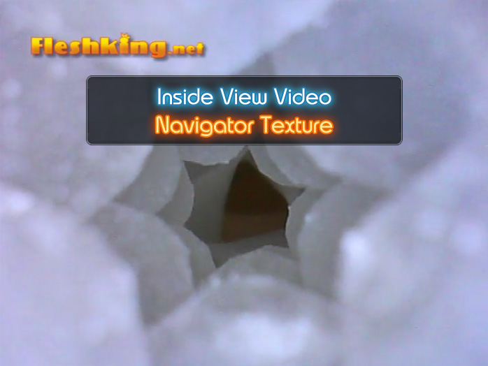Navigator Flight Fleshlight Inside View Video