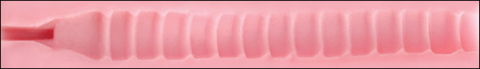 Fleshlight Wonder Wave Texture