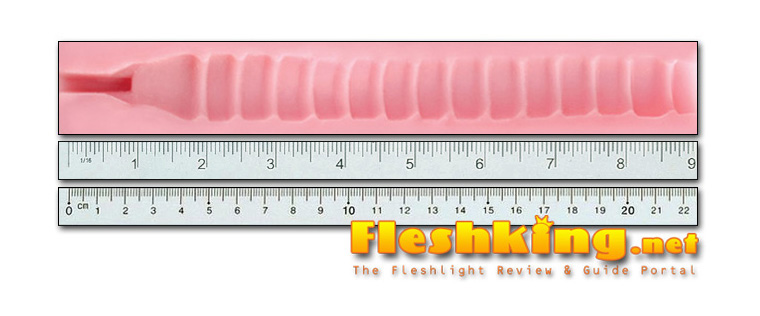Wonder Wave Fleshlight Canal Length.